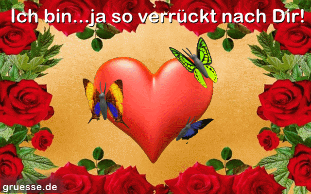 animationen-diverses-ich-bin_005