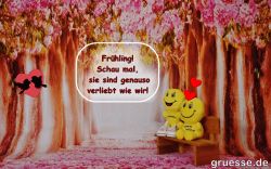 animationen-diverses-smiliegruesse_003