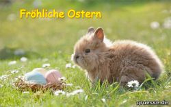 animationen-festtage-ostern_002