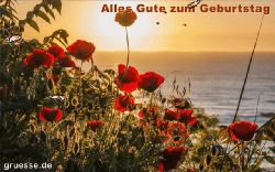 animationen-glueckwuensche-geburtstag_001