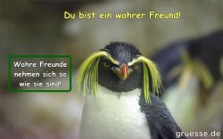 animationen-herzensgruesse-freundschaft_004