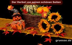 animationen-zeiten-herbst_003