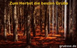 animationen-zeiten-herbst_004