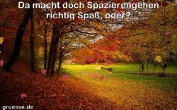 animationen-zeiten-herbst_006
