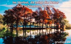 animationen-zeiten-herbst_007
