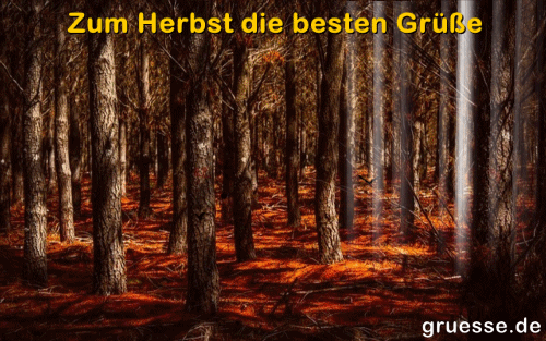 animationen-zeiten-herbst_004