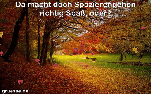 animationen-zeiten-herbst_006