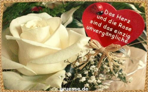 grusskarte-Traumschiff-Blumengruesse_028