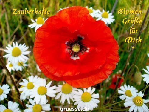 grusskarte-Traumschiff-Blumengruesse_035