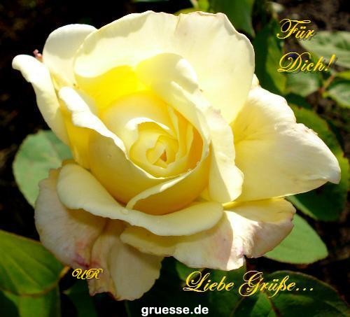 grusskarte-Traumschiff-Blumengruesse_037