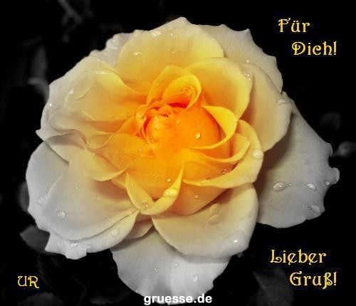 grusskarte-Traumschiff-Blumengruesse_039