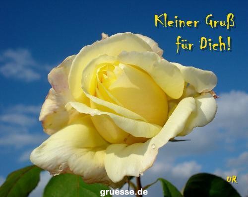 grusskarte-Traumschiff-Blumengruesse_045