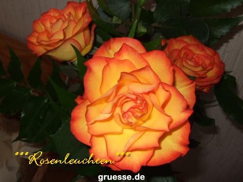 grusskarte-Traumschiff-Blumengruesse_049