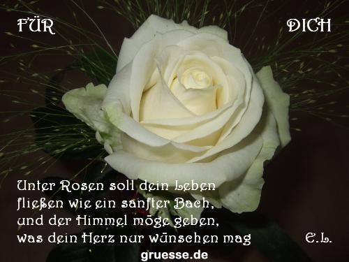 grusskarte-Traumschiff-Blumengruesse_050