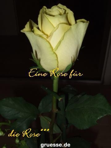 grusskarte-Traumschiff-Blumengruesse_053