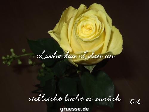 grusskarte-Traumschiff-Blumengruesse_054