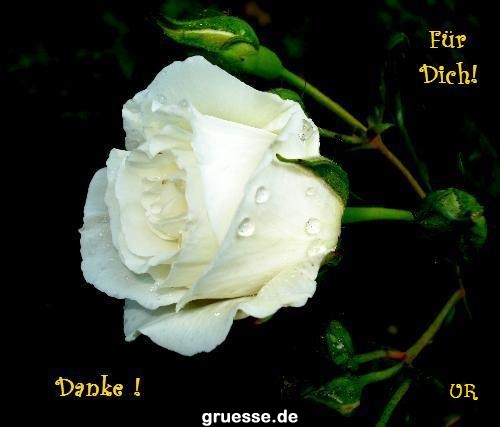 grusskarte-Traumschiff-Danke_011