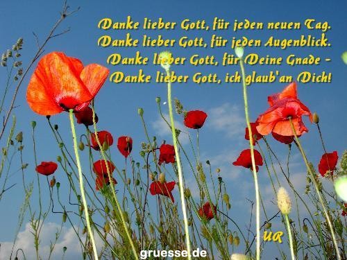 grusskarte-Traumschiff-Danke_012