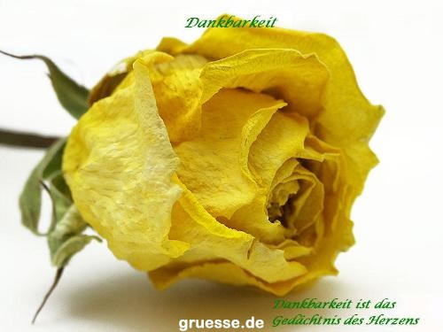 grusskarte-Traumschiff-Danke_014