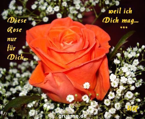 grusskarte-Traumschiff-Freundschaft_012