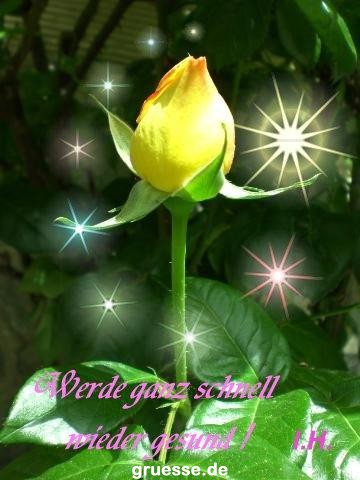 grusskarte-Traumschiff-Gute-Besserung_001