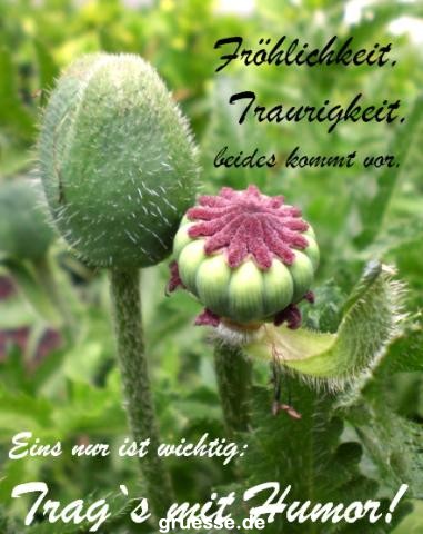 grusskarte-Traumschiff-Nachdenkliches_003