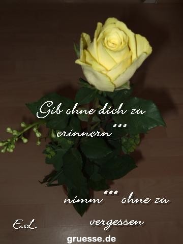 grusskarte-Traumschiff-Nachdenkliches_009