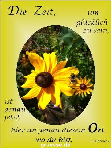 grusskarte-Traumschiff-Netter_Spruch_003