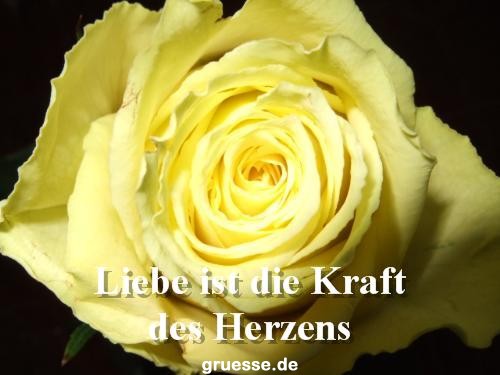 grusskarte-Traumschiff-Netter_Spruch_006