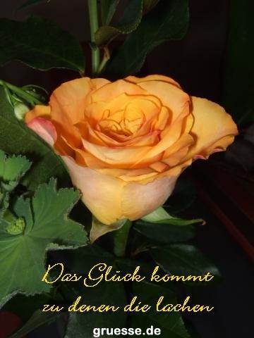 grusskarte-Traumschiff-Netter_Spruch_007