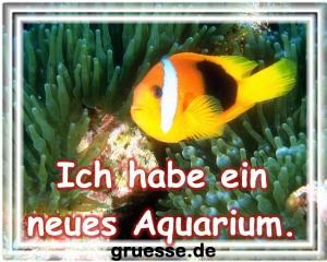 grusskarte-diverses-bekanntmachungen_001