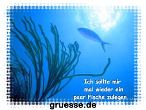 grusskarte-diverses-bekanntmachungen_003