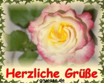 grusskarte-diverses-blumen_002
