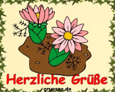 grusskarte-diverses-blumen_018