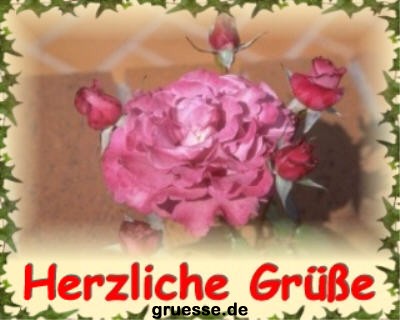 grusskarte-diverses-blumen_023