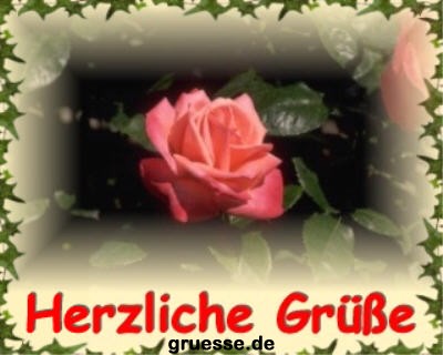 grusskarte-diverses-blumen_024