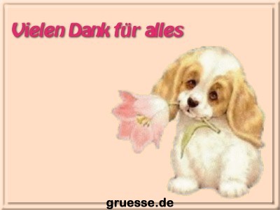 grusskarte-diverses-danke_031