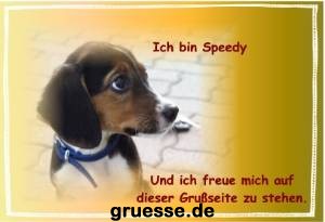 grusskarte-diverses-tiere_001