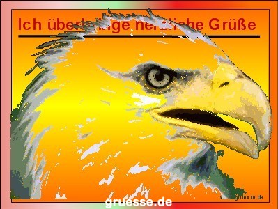 grusskarte-diverses-tiere_024