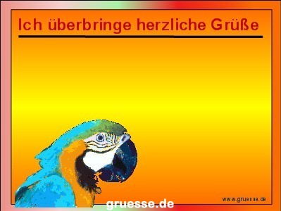 grusskarte-diverses-tiere_034