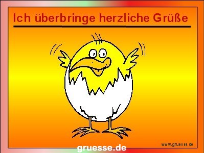 grusskarte-diverses-tiere_037