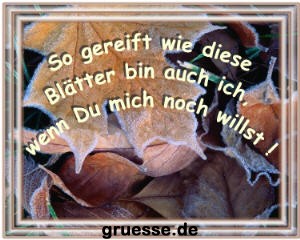 grusskarte-diverses-verzeihung_002