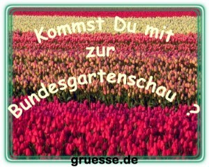 grusskarte-einladungen-diverses_004