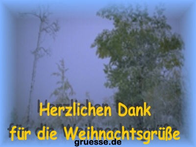 grusskarte-festtage-weihnachten-danke_005
