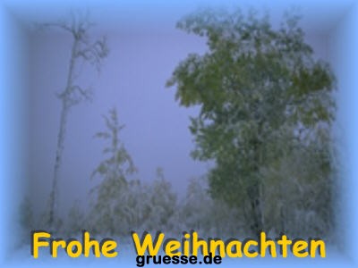 grusskarte-festtage-weihnachten-fotos_006
