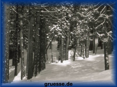grusskarte-festtage-weihnachten-fotos_011