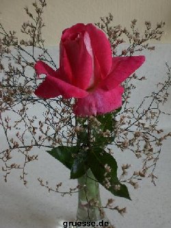 grusskarte-Traumschiff-Blumengruesse_002