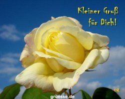 grusskarte-Traumschiff-Blumengruesse_045