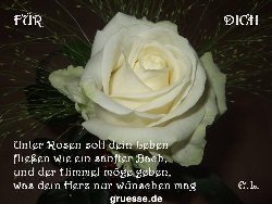 grusskarte-Traumschiff-Blumengruesse_050