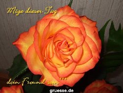 grusskarte-Traumschiff-Blumengruesse_052